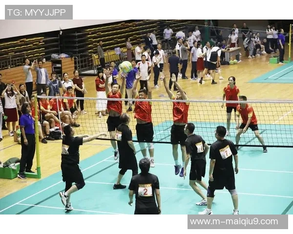 武汉排球队的耐力探秘：从训练到比赛的坚持与拼搏实时数据