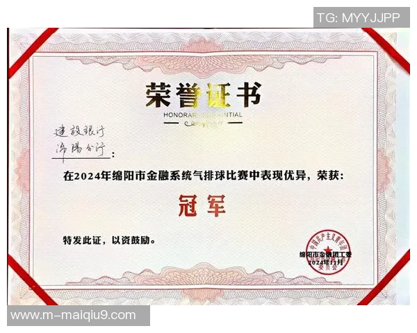 运动数据南京排球队荣登全国排球团队协作排行榜第三名展现团队精神与实力